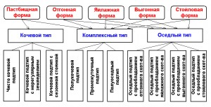 Схема. Классификация традиционного скотоводческого хозяйства у народов Средней Азии и Казахстана